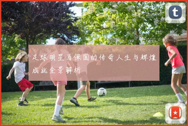 足球明星马保国的传奇人生与辉煌成就全景解析