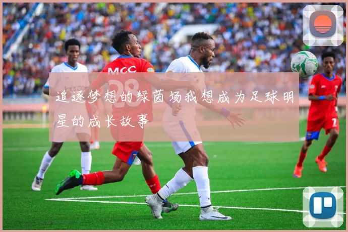 追逐梦想的绿茵场我想成为足球明星的成长故事