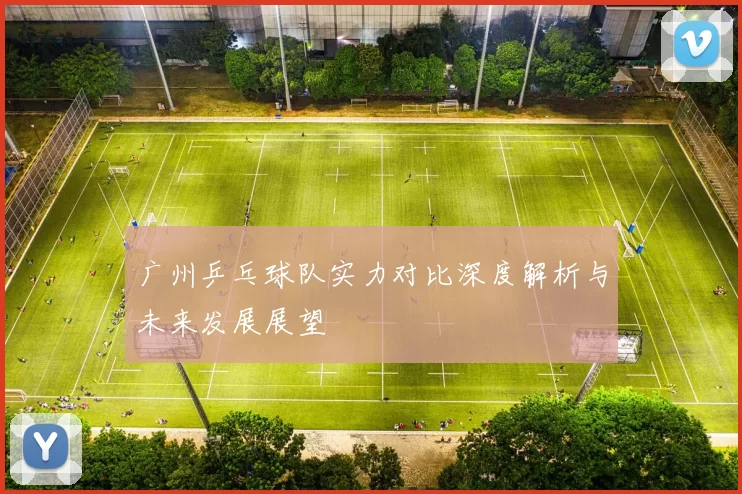 广州乒乓球队实力对比深度解析与未来发展展望