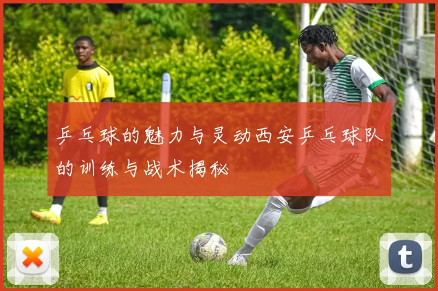 乒乓球的魅力与灵动西安乒乓球队的训练与战术揭秘
