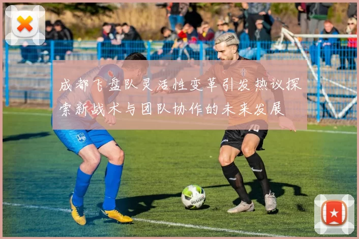 成都飞盘队灵活性变革引发热议探索新战术与团队协作的未来发展