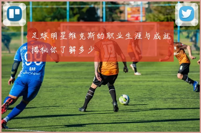 足球明星维克斯的职业生涯与成就揭秘你了解多少