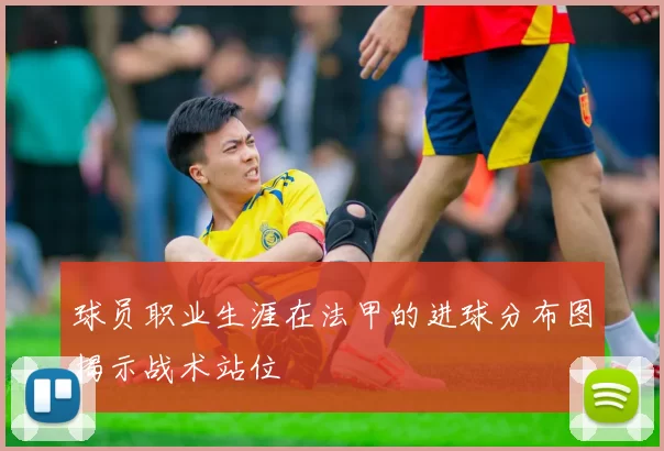 球员职业生涯在法甲的进球分布图揭示战术站位