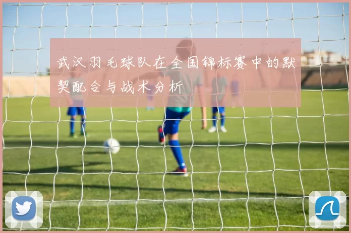 武汉羽毛球队在全国锦标赛中的默契配合与战术分析