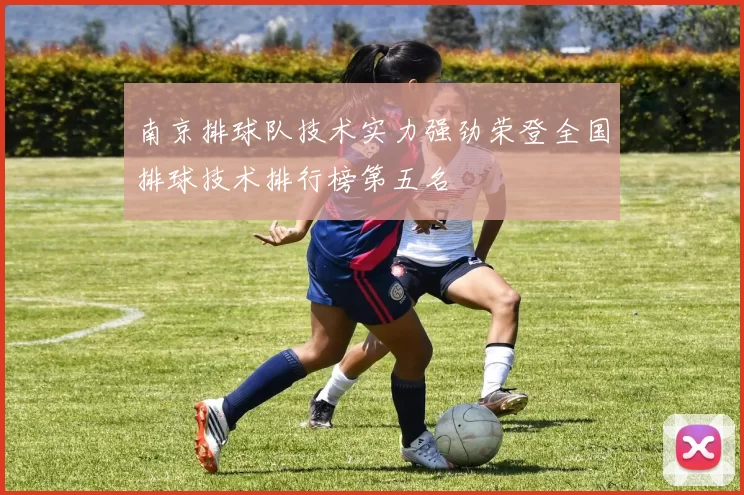 南京排球队技术实力强劲荣登全国排球技术排行榜第五名