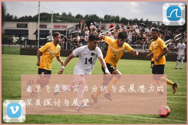 南京飞盘队实力分析与发展潜力的深度探讨与展望