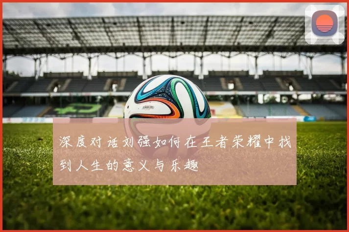 深度对话刘强如何在王者荣耀中找到人生的意义与乐趣