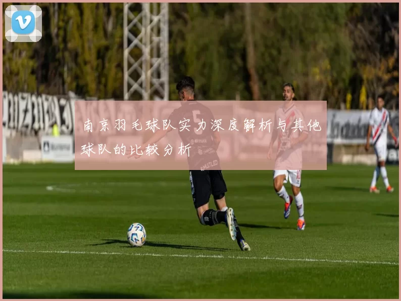 南京羽毛球队实力深度解析与其他球队的比较分析