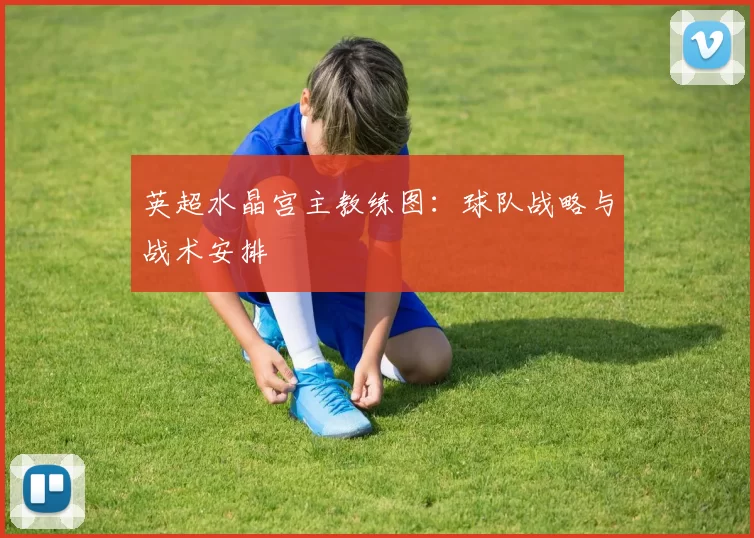 英超水晶宫主教练图：球队战略与战术安排