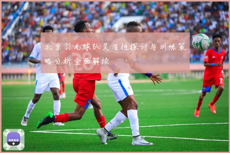 北京羽毛球队灵活性探讨与训练策略分析全面解读