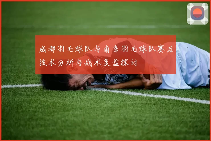 成都羽毛球队与南京羽毛球队赛后技术分析与战术复盘探讨